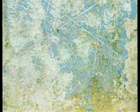 <strong>Rey Parla</strong><br /> <i>A Landscape of Lineage from Kinetic Lumino,</i> 2018<br /> Unique archival pigment print<br /> 27 x 23 inches 