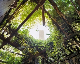 Christopher Payne<br /> <i>Boilerplant Roof Interior</i>, 2009<br /> Archival pigment ink prints<br /> 24 x 20" &nbsp; &nbsp;Edition of 20<br /> 50 x 40" &nbsp; &nbsp;Edition of 10<br /> 60 x 50" &nbsp; &nbsp;Edition of 5