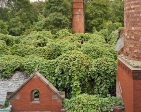 Christopher Payne<br /> <i>Boilerplant Roof in Summer</i>, 2009<br /> Archival pigment ink prints<br /> 24 x 20" &nbsp; &nbsp;Edition of 20<br /> 50 x 40" &nbsp; &nbsp;Edition of 10<br /> 60 x 50" &nbsp; &nbsp;Edition of 5