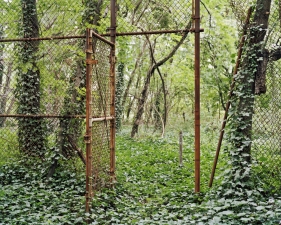 Christopher Payne<br /> <i>Tennis Court Gate</i>, 2009<br /> Archival pigment ink prints<br /> 24 x 20" &nbsp; &nbsp;Edition of 20<br /> 50 x 40" &nbsp; &nbsp;Edition of 10<br /> 60 x 50" &nbsp; &nbsp;Edition of 5