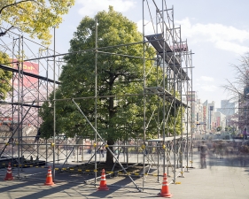 Matthew Pillsbury<br /> <i>The First Hanami, Ueno Park, Tokyo, </i>2014 (TV14599)<br /> Archival pigment ink prints<br /> 20 x 24" &nbsp; &nbsp;Edition of 10<br /> 30 x 40" &nbsp; &nbsp;Edition of 6 (plus 2 APs)<br /> 50 x 60" &nbsp; &nbsp;Edition of 2 (plus 1 AP)