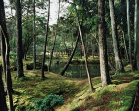 Jacqueline Hassink<br /> <em>Saihō-ji 9, winter,&nbsp;Southwest Kyoto,&nbsp;11 February 2011 (13:00–15:00)</em><br /> Chromogenic prints<br />41 x 51" and 50 x 63" &nbsp; Shared edition of 7<br />