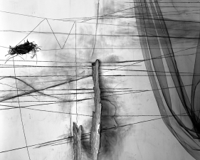 Lauren Semivan<br /> <em>Wishbones, </em>2011<br /> Archival ink prints<br /> 30 x 24" &nbsp; &nbsp;Edition of 10<br /> 50 x 40" &nbsp; &nbsp;Edition of 5