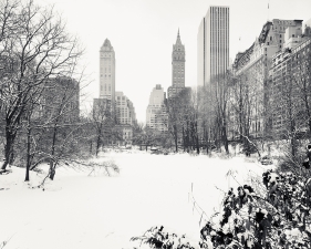 Josef Hoflehner<br /> <em>Snow Capped Central Park, Study 10, New York City, New York, &nbsp;</em>2011<br /> Archival pigment ink prints<br /> 12 x 12" &nbsp; &nbsp;Edition of 15<br /> 20 x 20" &nbsp; &nbsp;Edition of 10<br /> 40 x 40" &nbsp; &nbsp;Edition of 5<br /> 60 x 60" &nbsp; &nbsp;Edition of 5<br /> <br />