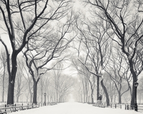 Josef Hoflehner<br /> <em>Snow Capped Central Park, Study 2, New York City, New York, &nbsp;</em>2011<br /> Archival pigment ink prints<br /> 12 x 12" &nbsp; &nbsp;Edition of 15<br /> 20 x 20" &nbsp; &nbsp;Edition of 10<br /> 40 x 40" &nbsp; &nbsp;Edition of 5<br /> 60 x 60" &nbsp; &nbsp;Edition of 5<br /> <br />