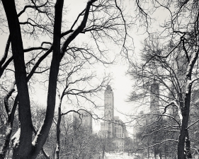 Josef Hoflehner<br /> <em>Snow Capped Central Park, Study 6, New York City, New York, &nbsp;</em>2011<br /> Archival pigment ink prints<br /> 12 x 12" &nbsp; &nbsp;Edition of 15<br /> 20 x 20" &nbsp; &nbsp;Edition of 10<br /> 40 x 40" &nbsp; &nbsp;Edition of 5<br /> 60 x 60" &nbsp; &nbsp;Edition of 5<br /> <br />