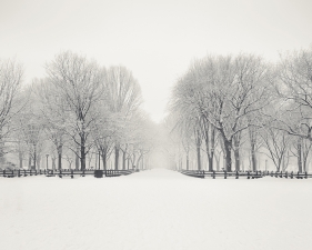 Josef Hoflehner<br /> <em>Snow Capped Central Park, Study 7, New York City, New York, &nbsp;</em>2011<br /> Archival pigment ink prints<br /> 12 x 12" &nbsp; &nbsp;Edition of 15<br /> 20 x 20" &nbsp; &nbsp;Edition of 10<br /> 40 x 40" &nbsp; &nbsp;Edition of 5<br /> 60 x 60" &nbsp; &nbsp;Edition of 5<br /> <br />