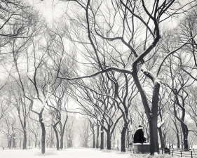 Josef Hoflehner<br /> <em>Snow Capped Central Park, Study 9, New York City, New York, &nbsp;</em>2011<br /> Archival pigment ink prints<br /> 12 x 12" &nbsp; &nbsp;Edition of 15<br /> 20 x 20" &nbsp; &nbsp;Edition of 10<br /> 40 x 40" &nbsp; &nbsp;Edition of 5<br /> 60 x 60" &nbsp; &nbsp;Edition of 5<br /> <br />