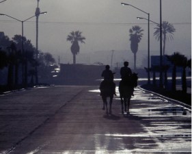 The Family Acid, Ensenada, Mexico, December, 1973