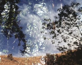 The Family Acid<br /> <em>Big Sur Double Exposure, August 1978</em><br /> Archival pigment ink prints<br /> 20 x 24" &nbsp; &nbsp;Edition of 8