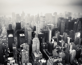 Josef Hoflehner<br /> <em>Urban Jungle, New York City, New York, &nbsp;</em>2009<br /> Archival pigment ink prints<br /> 12 x 12" &nbsp; &nbsp;Edition of 15<br /> 20 x 20" &nbsp; &nbsp;Edition of 10<br /> 40 x 40" &nbsp; &nbsp;Edition of 5<br /> 60 x 60" &nbsp; &nbsp;Edition of 5<br /> <br />